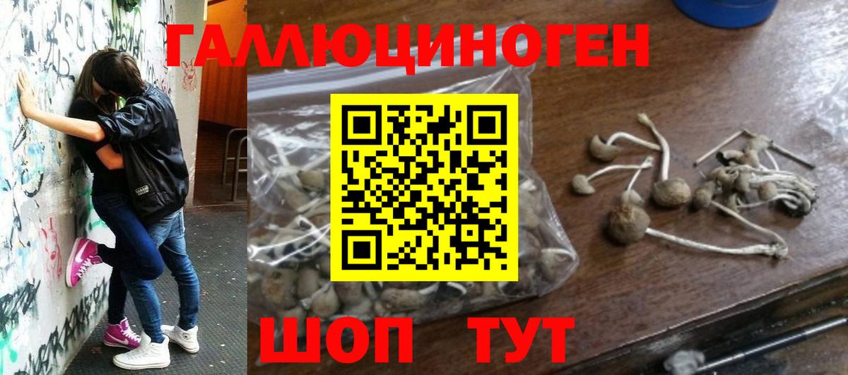 Псилоцибиновые грибы Psilocybine cubensis  Псилоцибиновые грибы MAGIC MUSHROOMS  Ессентуки  Вход с VPN 