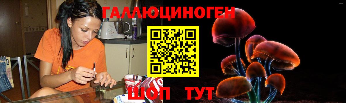 Псилоцибиновые грибы мухоморы Ессентуки